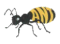 My project.png