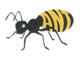 A black and yellow ant

Description automatically generated